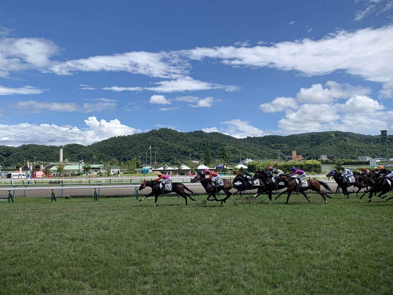 第拾五回競馬番組　福島県産馬組合聯合会　競馬場　　明治44年　開成山　広告 第拾五回競馬番組 福島県産馬組合聯合会 競馬場 明治