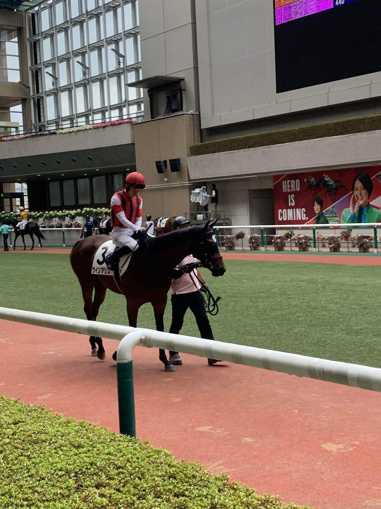 Guide to Horse Racecourse in Japan: Fukushima Racecourse