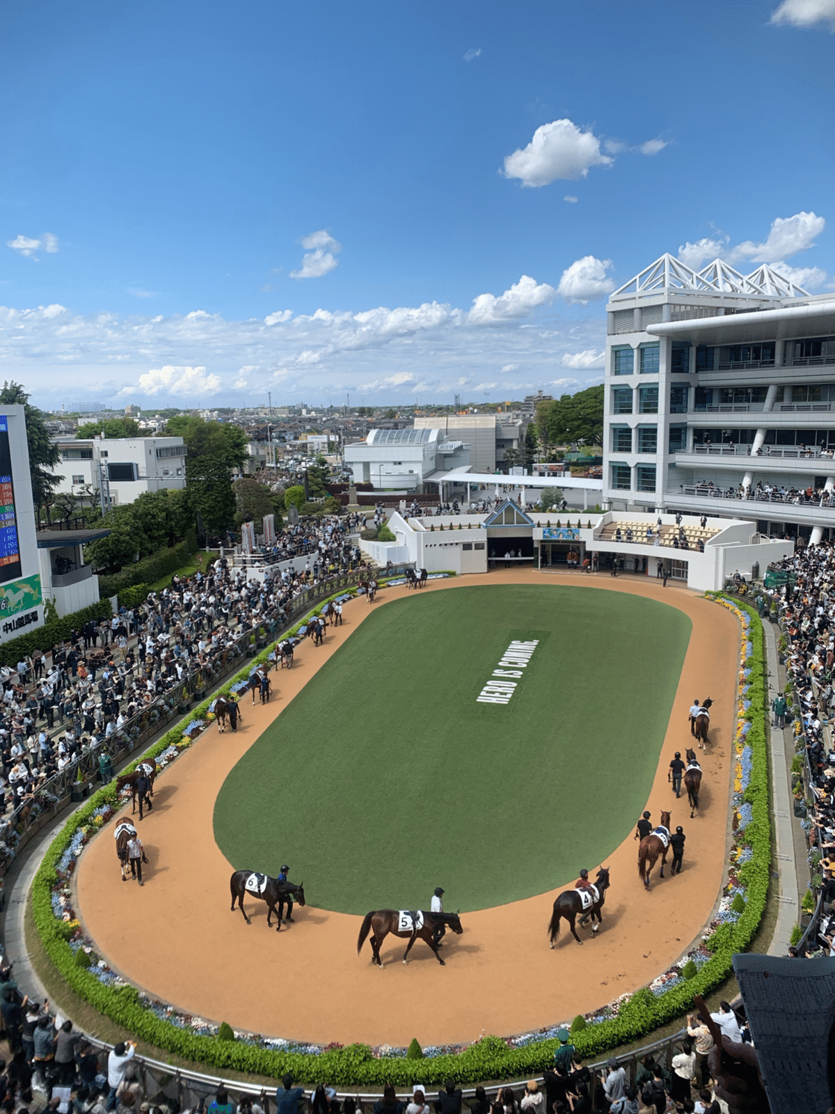 Guide to Horse Racecourse in Japan: Nakayama Racecourse 中山 Guide to Horse Racecourse in Japan: Nakayama Racecourse 中山