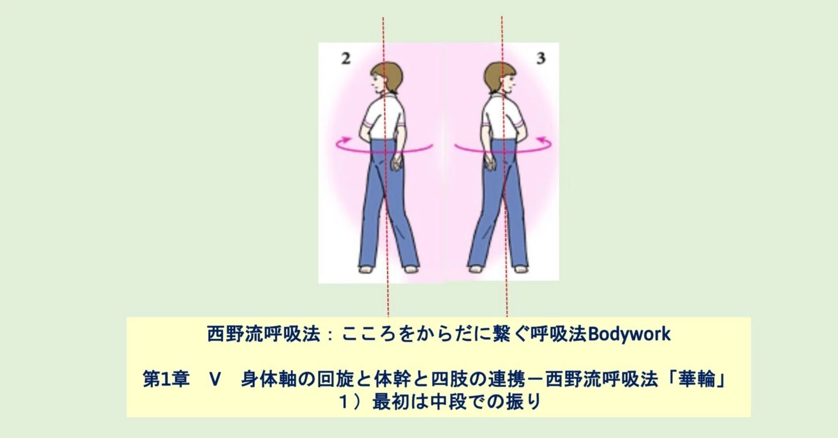 西野流呼吸法：こころをからだに繋ぐ呼吸法Bodywork第1章 V 身体軸の