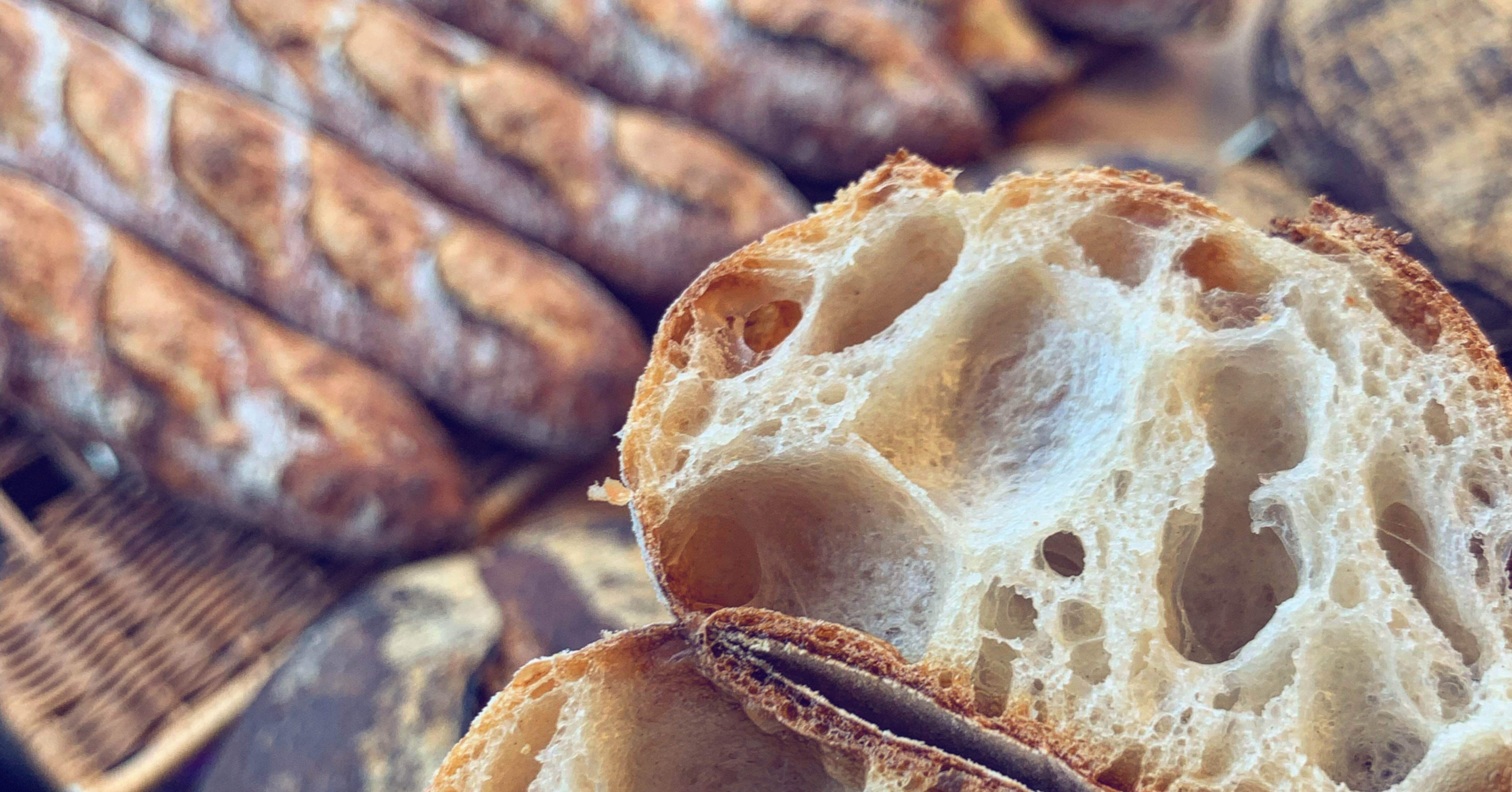 Bon Pain/素晴らしいパン｜hayatotabita