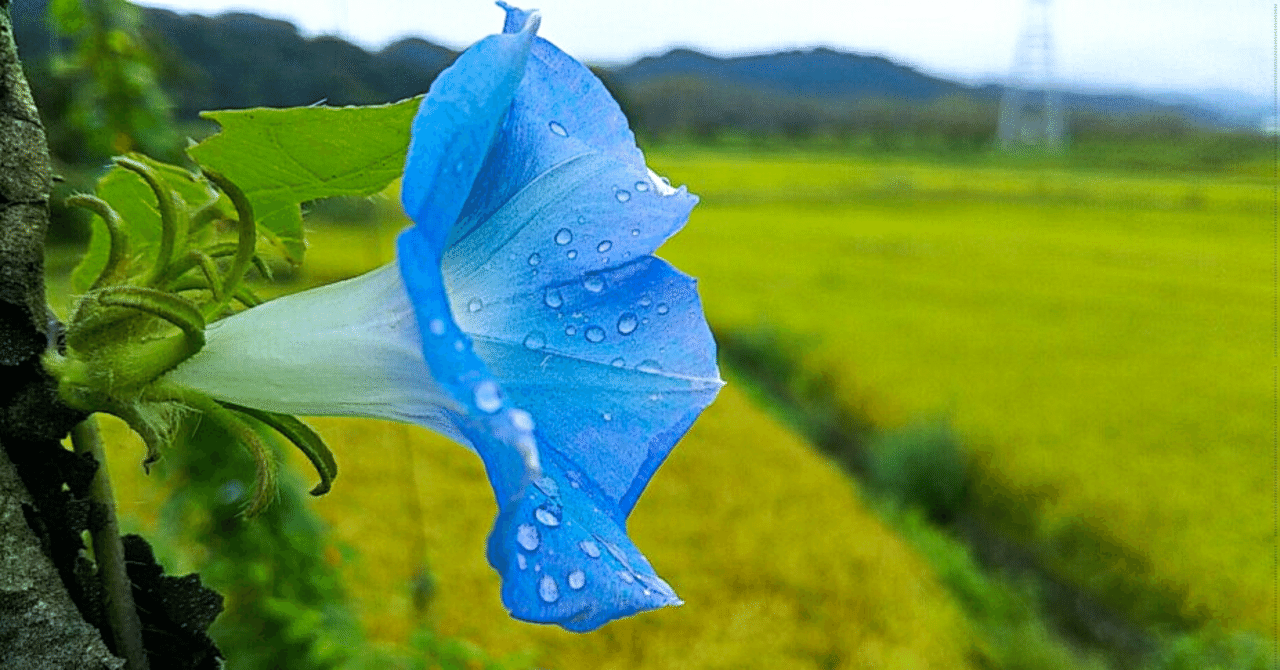 ネットもリアルも意識する。|Takaharu の🌈好きなこと・やりたいことで始める副業的起業🌈 ネットもリアルも意識する。|Takaharu の🌈好きなこと・やりたいことで始める副業的起業🌈