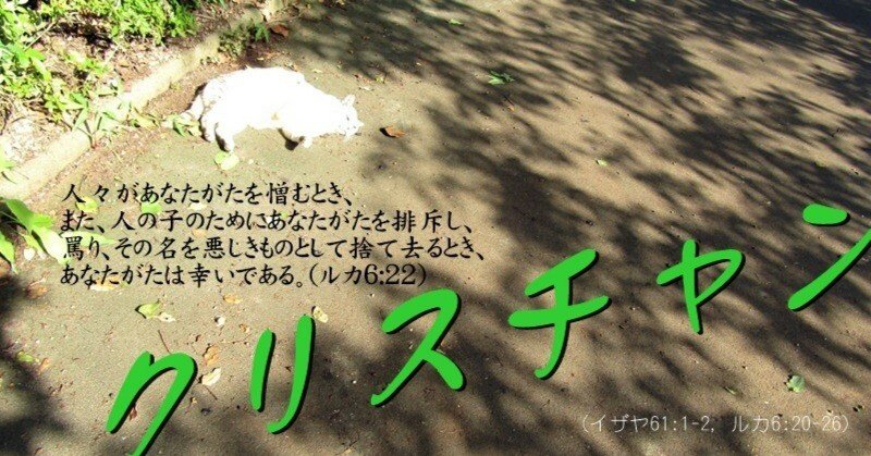 2af20202b28c7daab87dd5675c2cc8