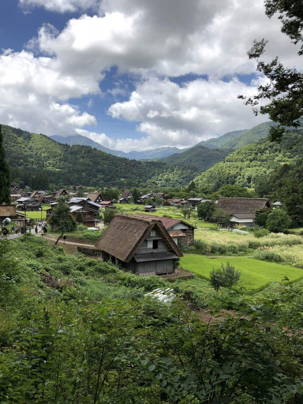富山　立山・黒部 五箇山・白川郷 ’１８ カメラ付 rectangle_large_type_2_2029d78