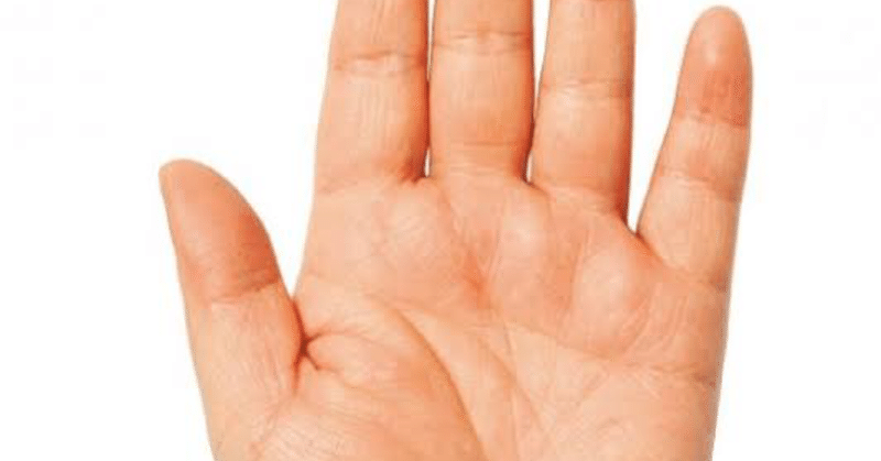 なぜ付き合いかけの男女は手の大きさを比べたがるのか問題 神山園子 Note