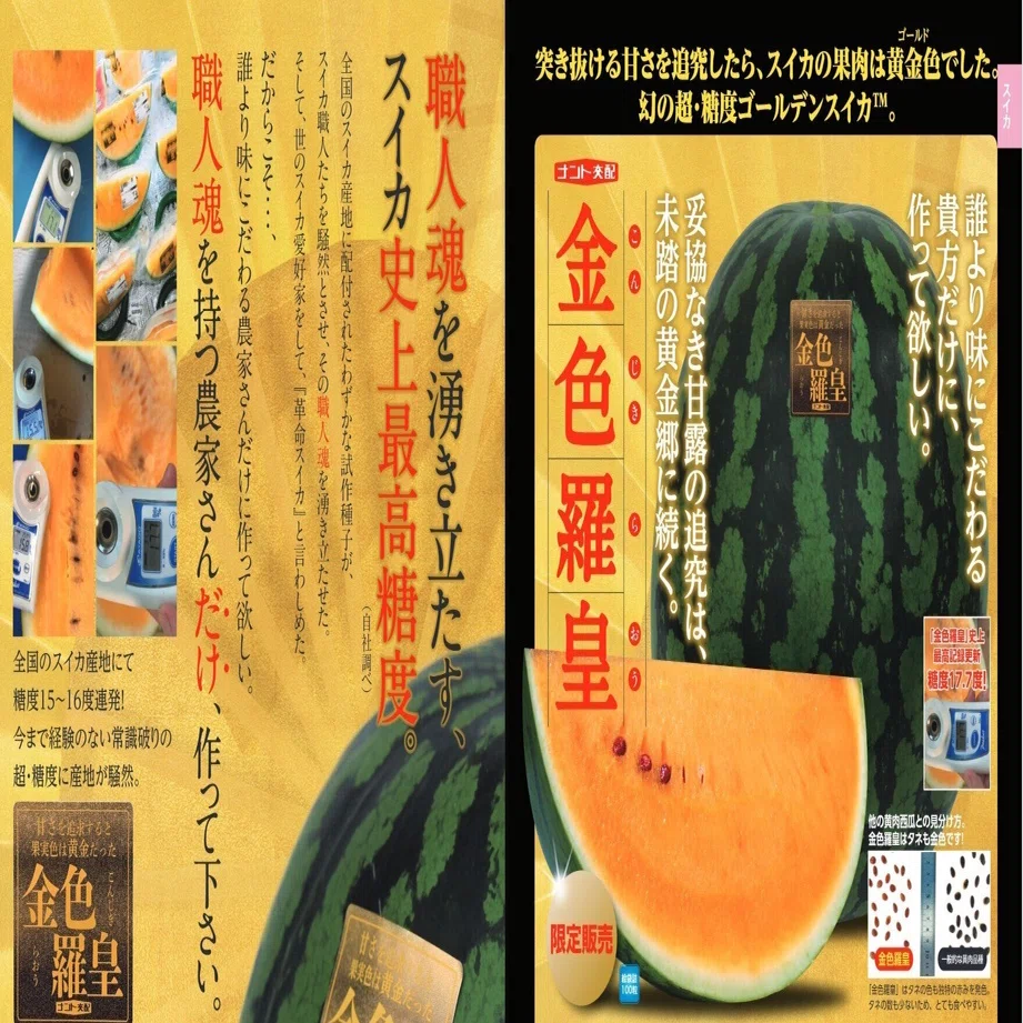 とてつもない西瓜🍉「金色羅皇(こんじきらおう)」｜野猿（やえん）