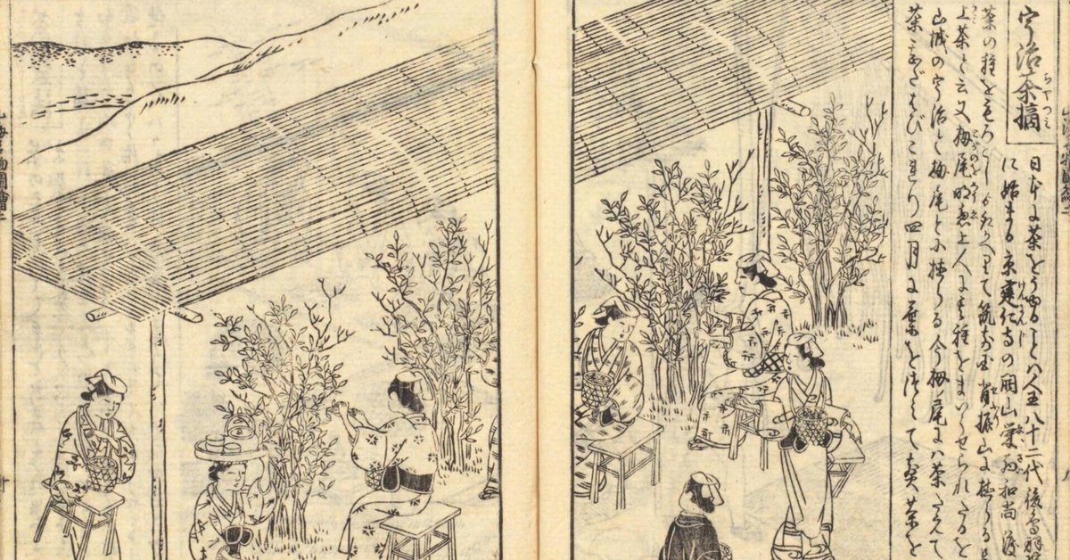 各傳比較 點茶活法 4冊揃 各伝比較 点茶活