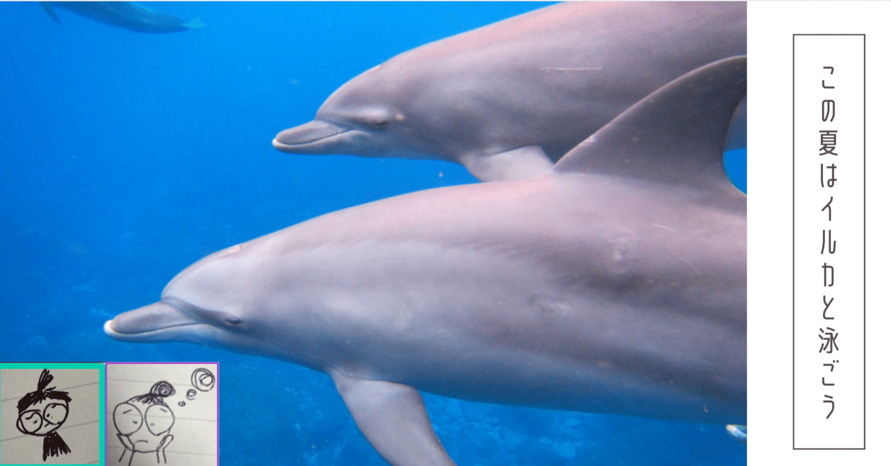 イルカ 風鈴 ベル 魚 海水浴 プール ドアベル 鐘 ベル ヴィンテージ