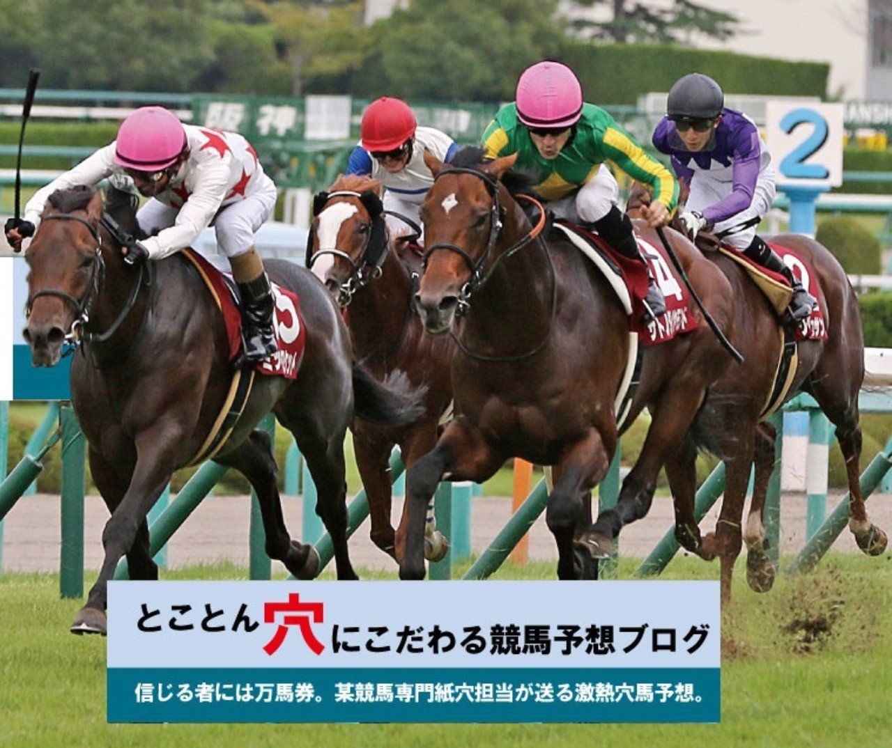 4月13日 土 中山競馬12r予想 とこ穴 信じる者には万馬券 Note