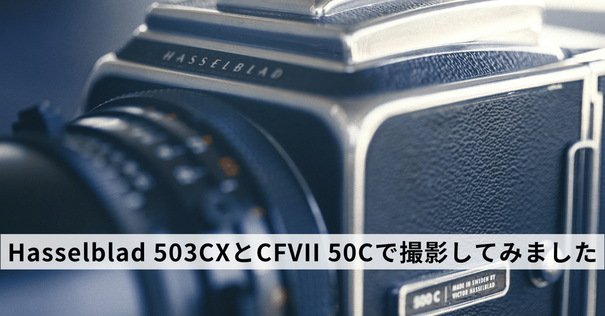 Hasselblad 503CXとCFVII 50Cで撮影してみました|Naoto Takazawa Hasselblad 503CXとCFVII 50Cで撮影してみました|Naoto Takazawa
