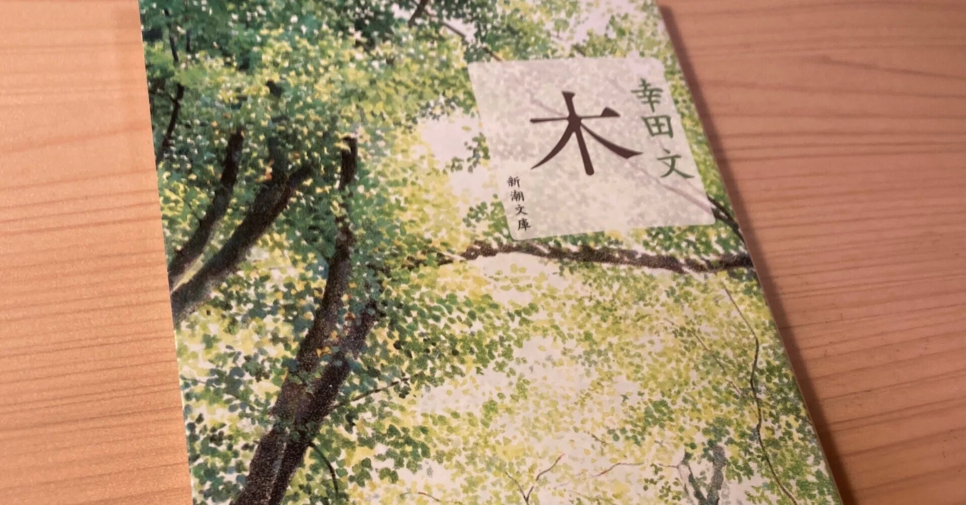 Trees (Author: Aya Koda)｜山の喇叭吹き