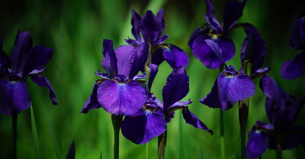 Ai丸投げ のリスク Ai神話の崩壊と高まる人間の存在意義 武田敦 Note