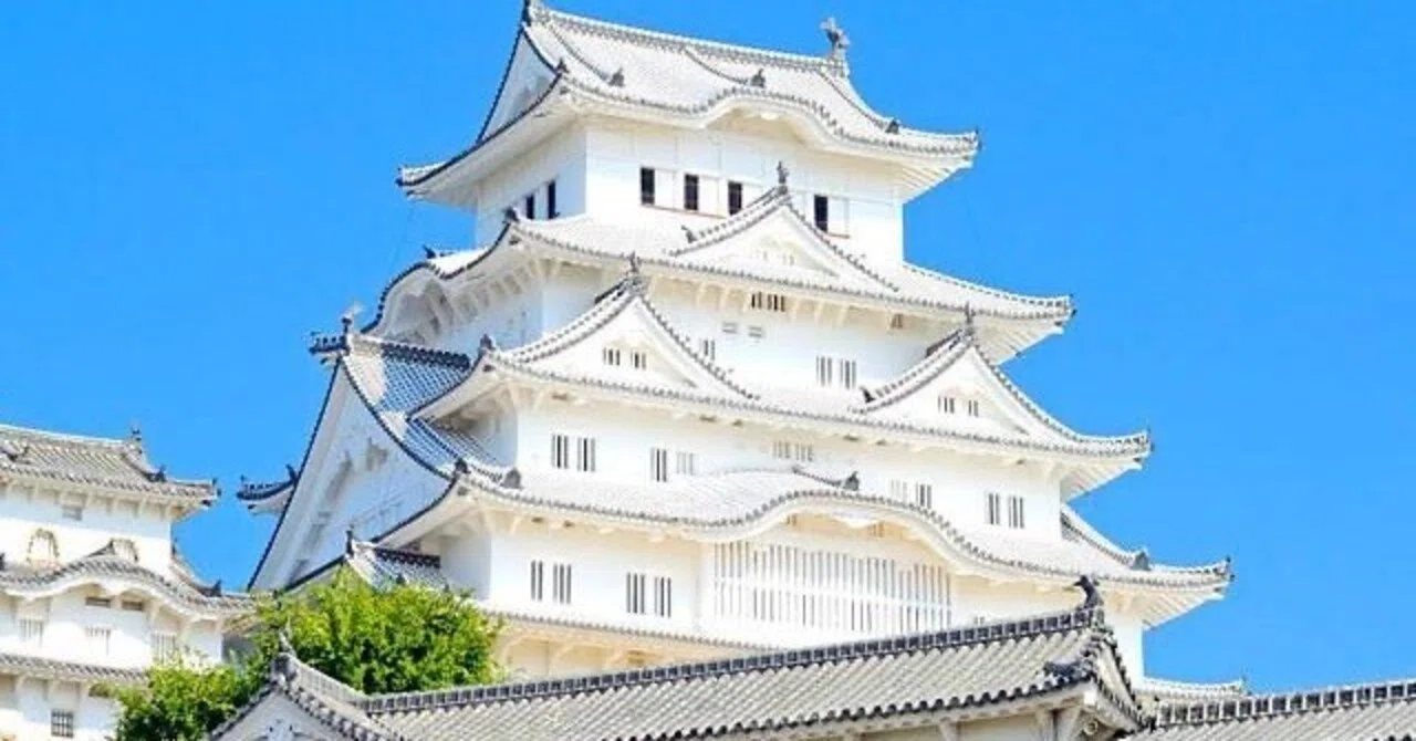 第2593回 光り輝く白い鳥は｜翆野 大地