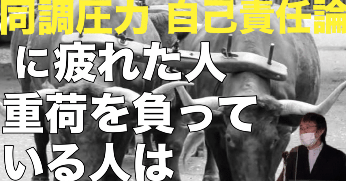 📗【文書版】✴️礼拝メッセージ『すべて疲れた人、重荷を負っている人はわたしのもとに来なさい。』新約聖書  マタイの福音書第11章28～30節｜高知ほっとチャーチ 田村隆明