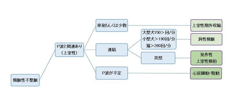 0031．頻脈性不整脈（上室性）の治療｜獣医麻酔・集中治療学｜note