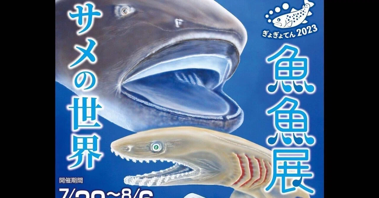 サメの世界」魚魚展2023が松本市で開催！｜シャークジャーナリスト沼口麻子
