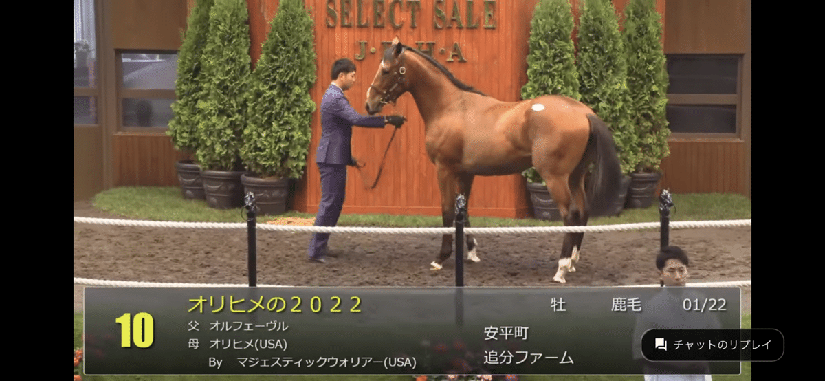オルフェーヴル産駒セレクトセール2023 まとめ｜らいあー