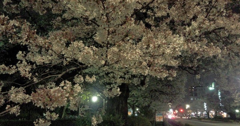 20150404夜桜07