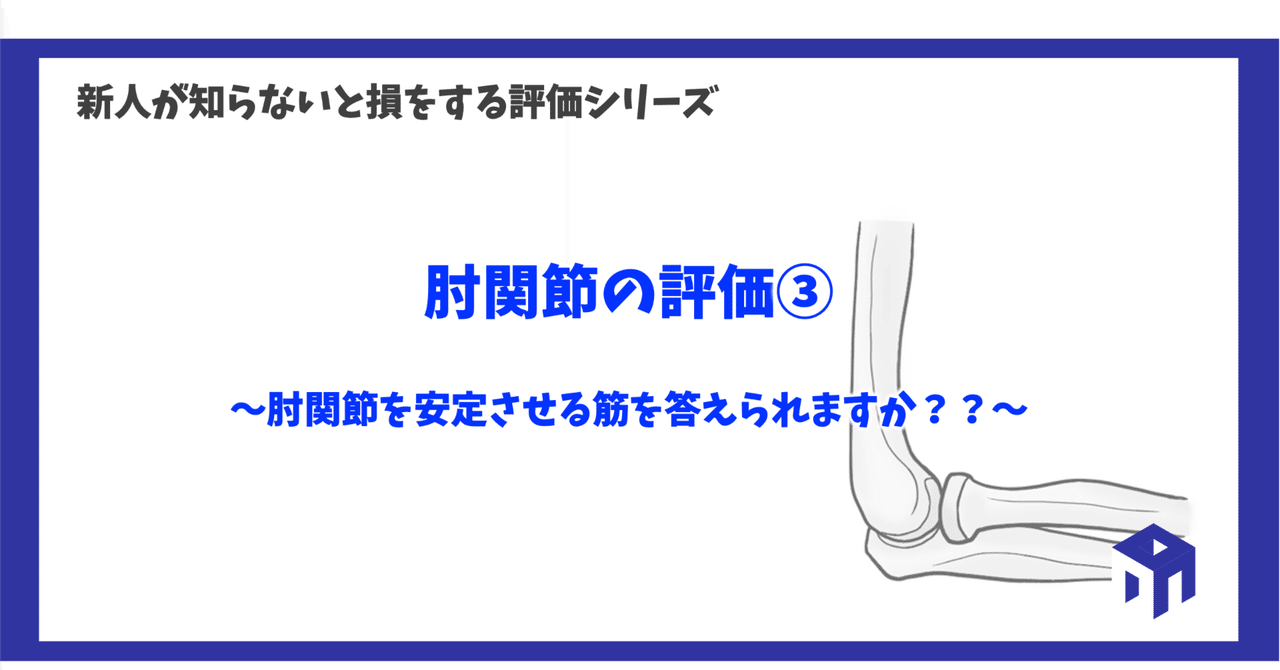 機能解剖学に基づいた手指・肘関節の治療戦略　DVD　柔整　鍼灸　理学療法　リハ 機能解剖学に基づいた手指・肘関節の治療戦略 全4巻セット