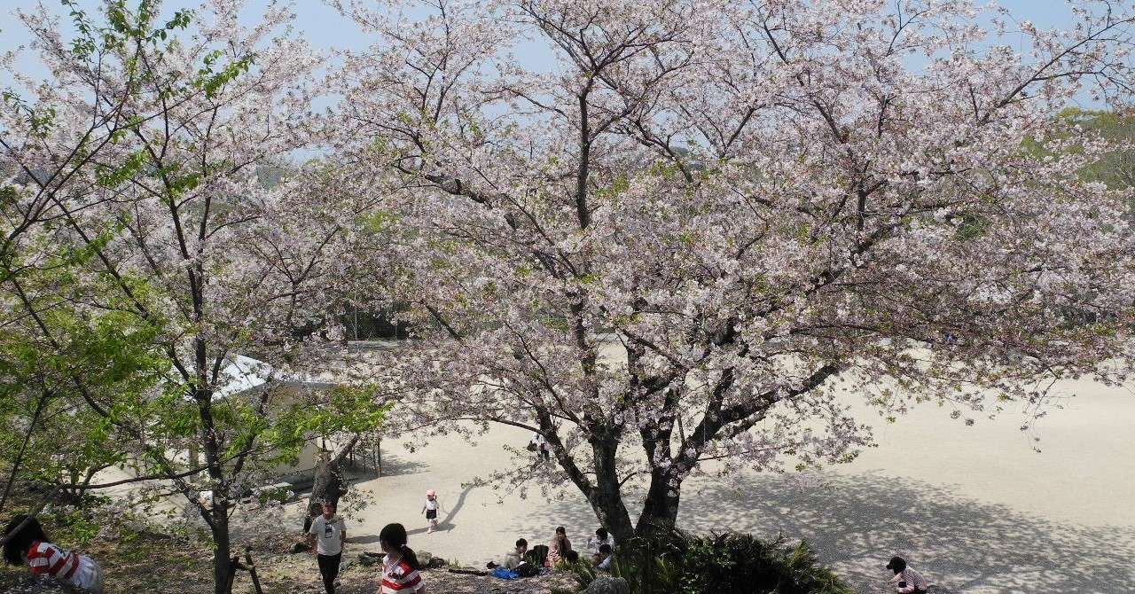 言葉の波紋エネルギーと喜び