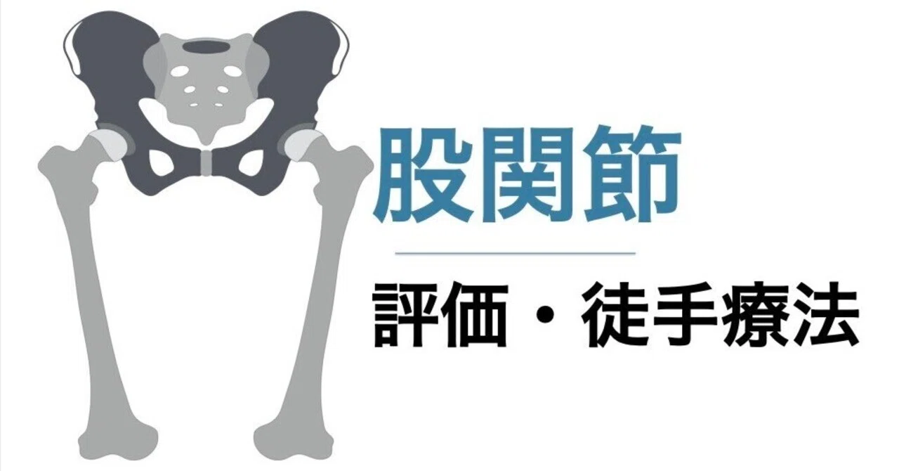 股関節の評価・徒手療法｜平 純一朗｜理学療法士×アスレティック