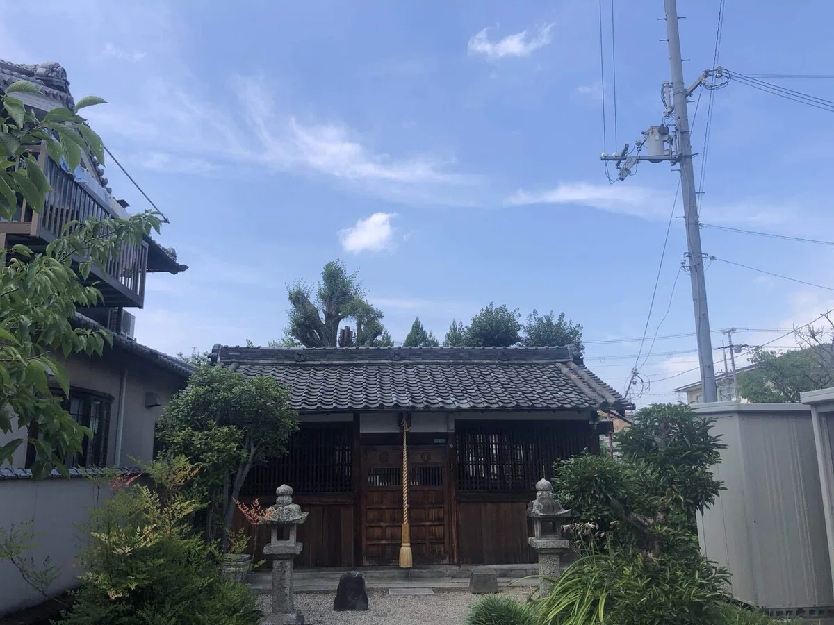 画像