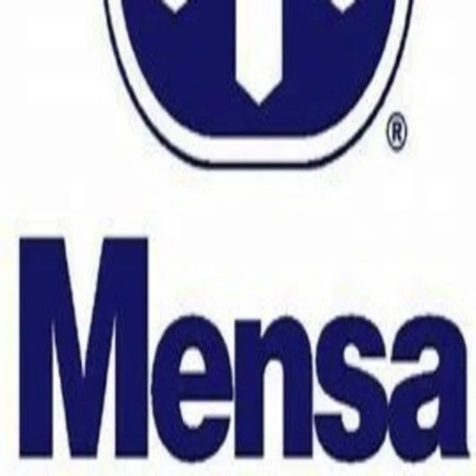 MENSAテスト受けてみた｜sascha18