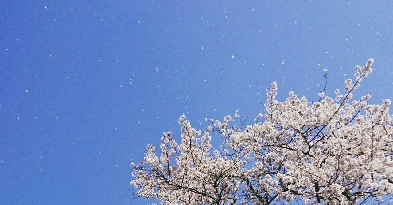アールビバン／ごとP「桜の花びら舞い散る頃」 桜の花びら散るたびに