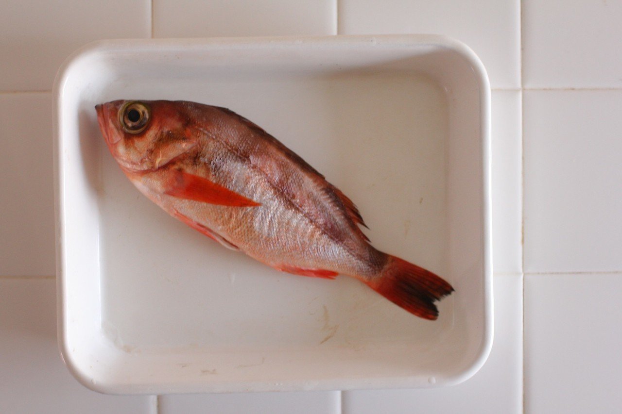 春を告げる魚 メバルの煮付け の作り方 松本純子 Note