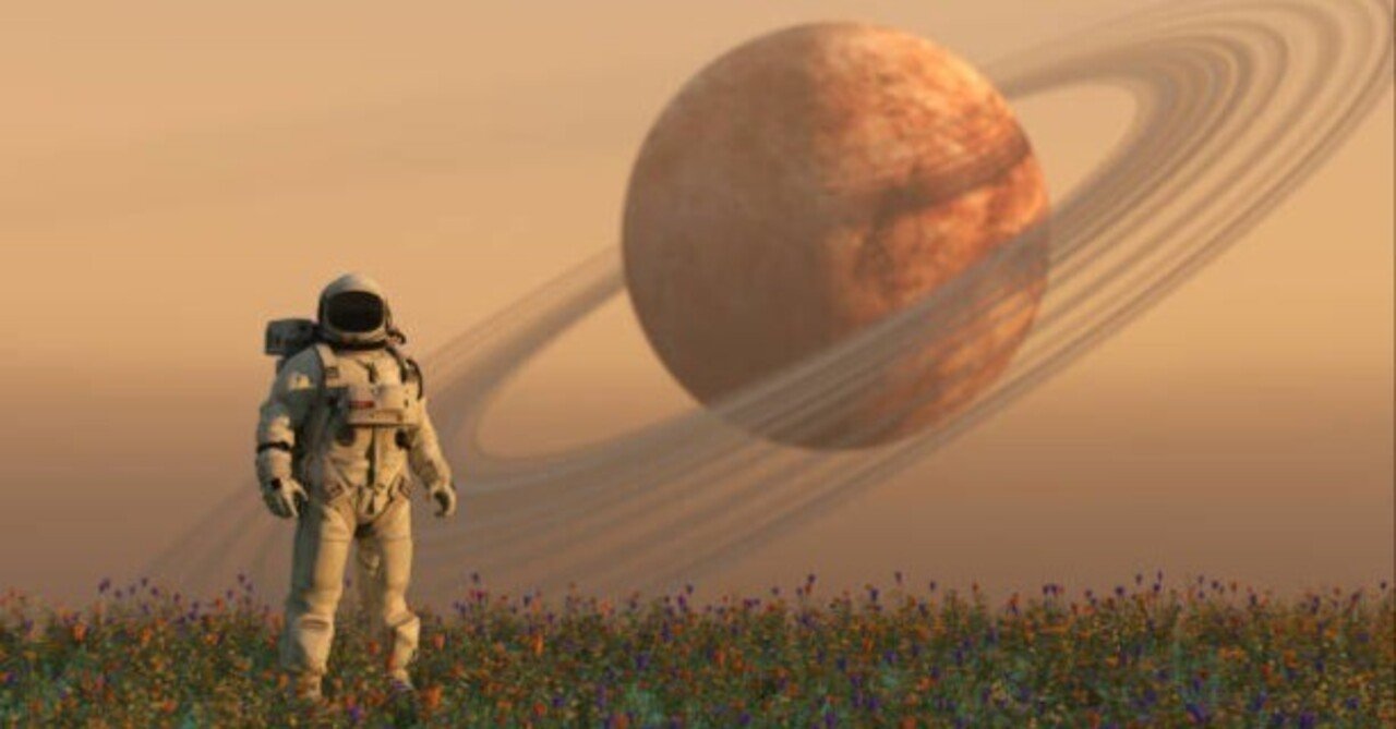 星尚様　　　奴隷クマ Lisa Larson リサラーソン Skansen スウェーデンの動物園 クマ