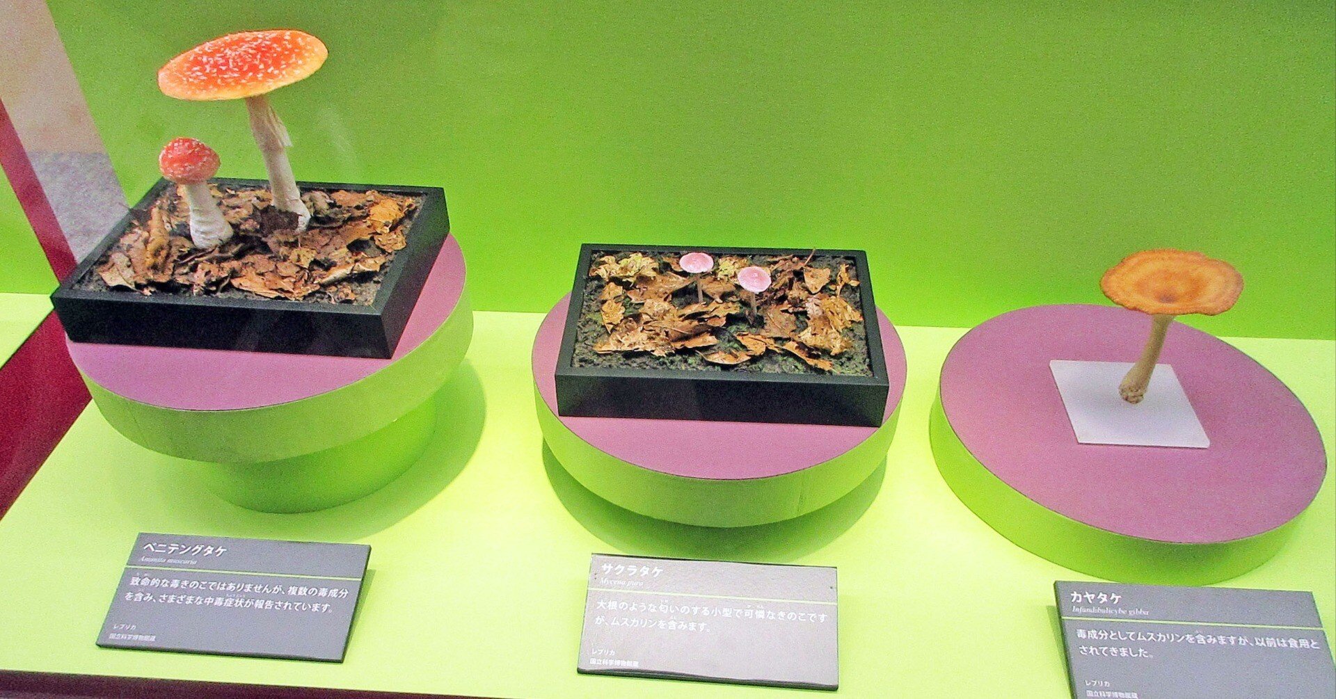 567678da86f2c78477d8491d0ccf96