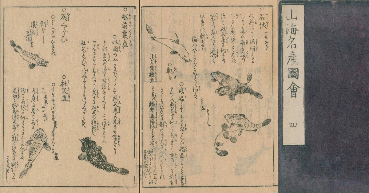 河鹿（かじか）｜mominaina