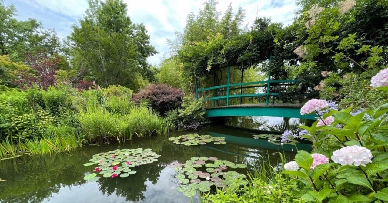 世界でたった2つのモネの庭、涼しい夏を演出する睡蓮たち（北川村