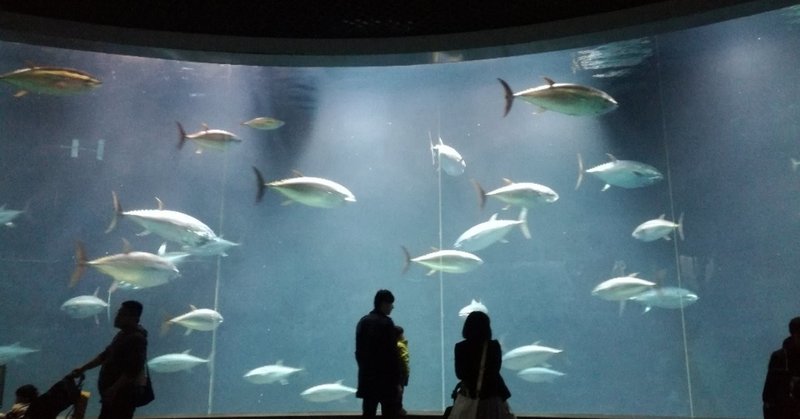 子ども3人と葛西臨海水族園に行ってきた ヨリ Note 子ども3人と葛西臨海水族園に行ってきた ヨリ Note