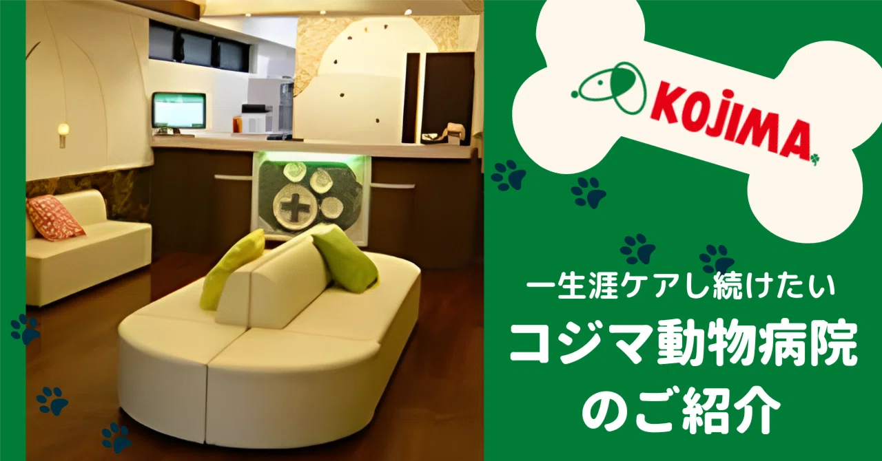 コジマ 動物 病院 練馬