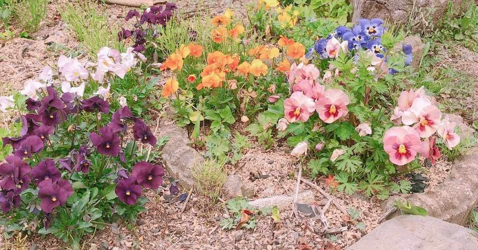 花 草冠 離れている 花 草冠 離れている