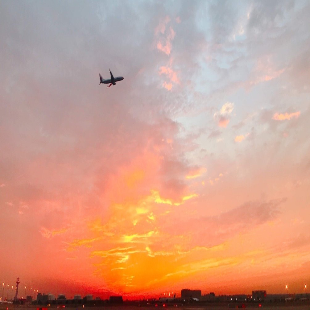 47都道府県中、どのくらい行ったことある？｜Ripa