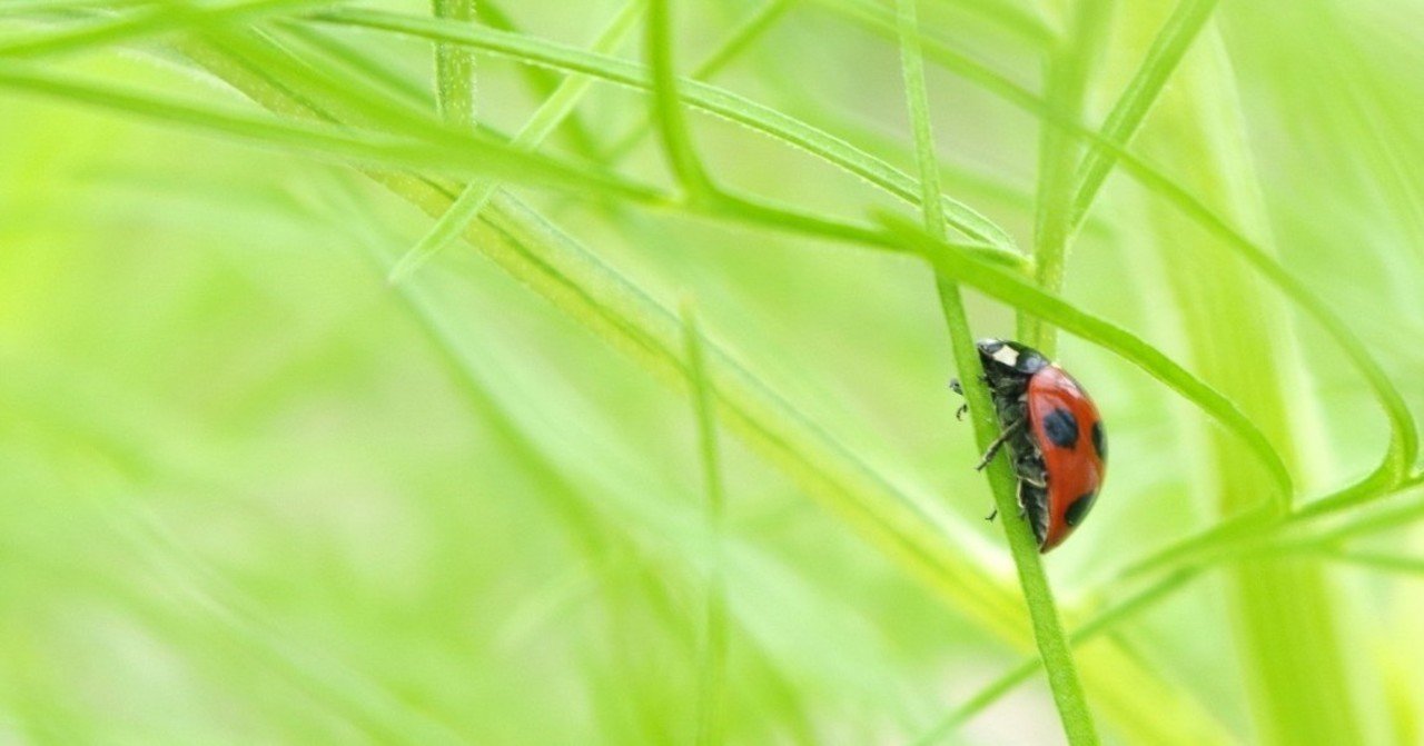 久しぶりにドラマ 不機嫌なジーン を見た ハラハラ Note