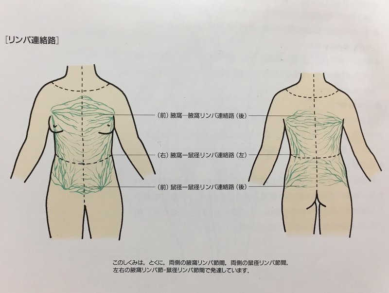 Q 下腹部 陰部の浮腫ってどうしたらいいの Olas For Cancer Survivor Note Q 下腹部 陰部の浮腫ってどうしたらいいの Olas For Cancer Survivor Note