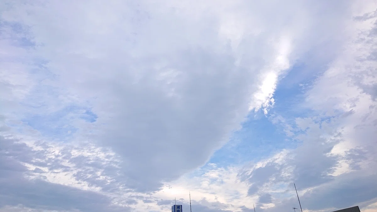 雨は、 疎らに降っている。 雨は、 悲しめない私たちの為に、 降っている。 …｜yellow