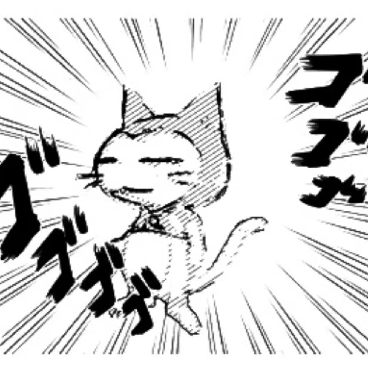 弥栄 伊織（音羽屋）