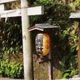 ヤゴスポ編集長・ヤゴセン