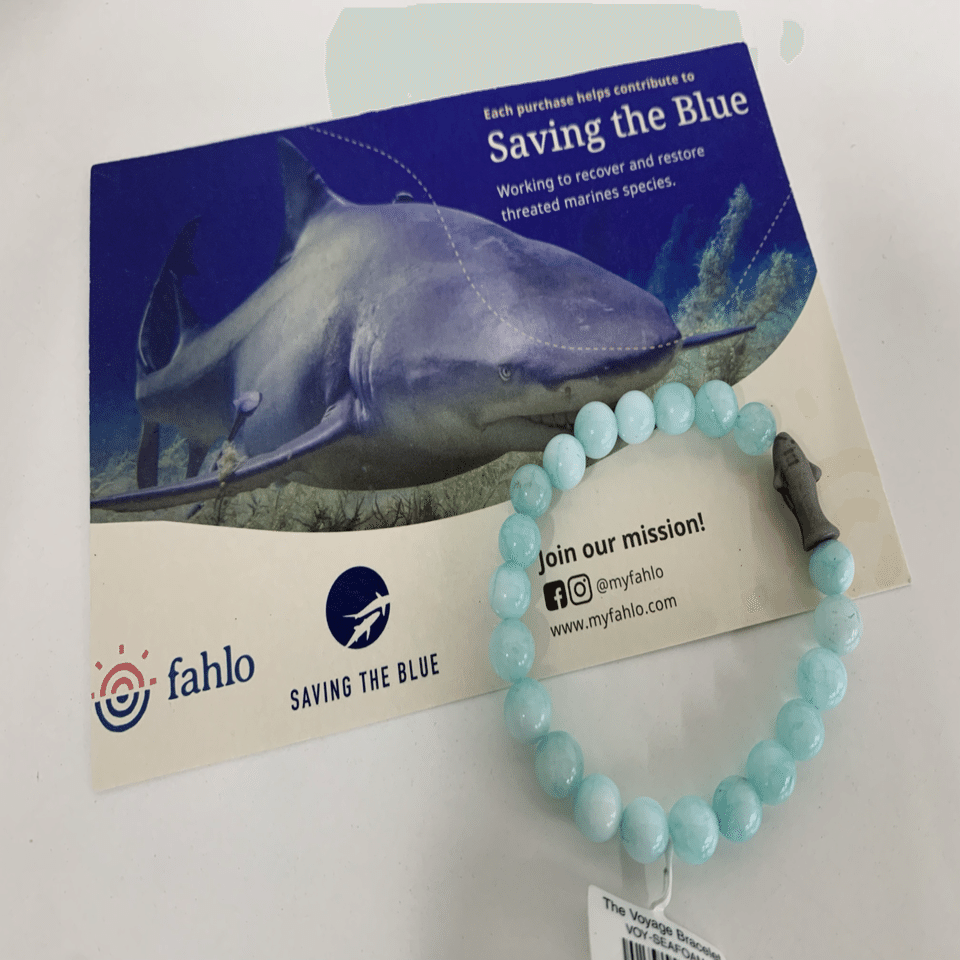 ハワイのお土産 サメグッズ｜シャークジャーナリスト沼口麻子