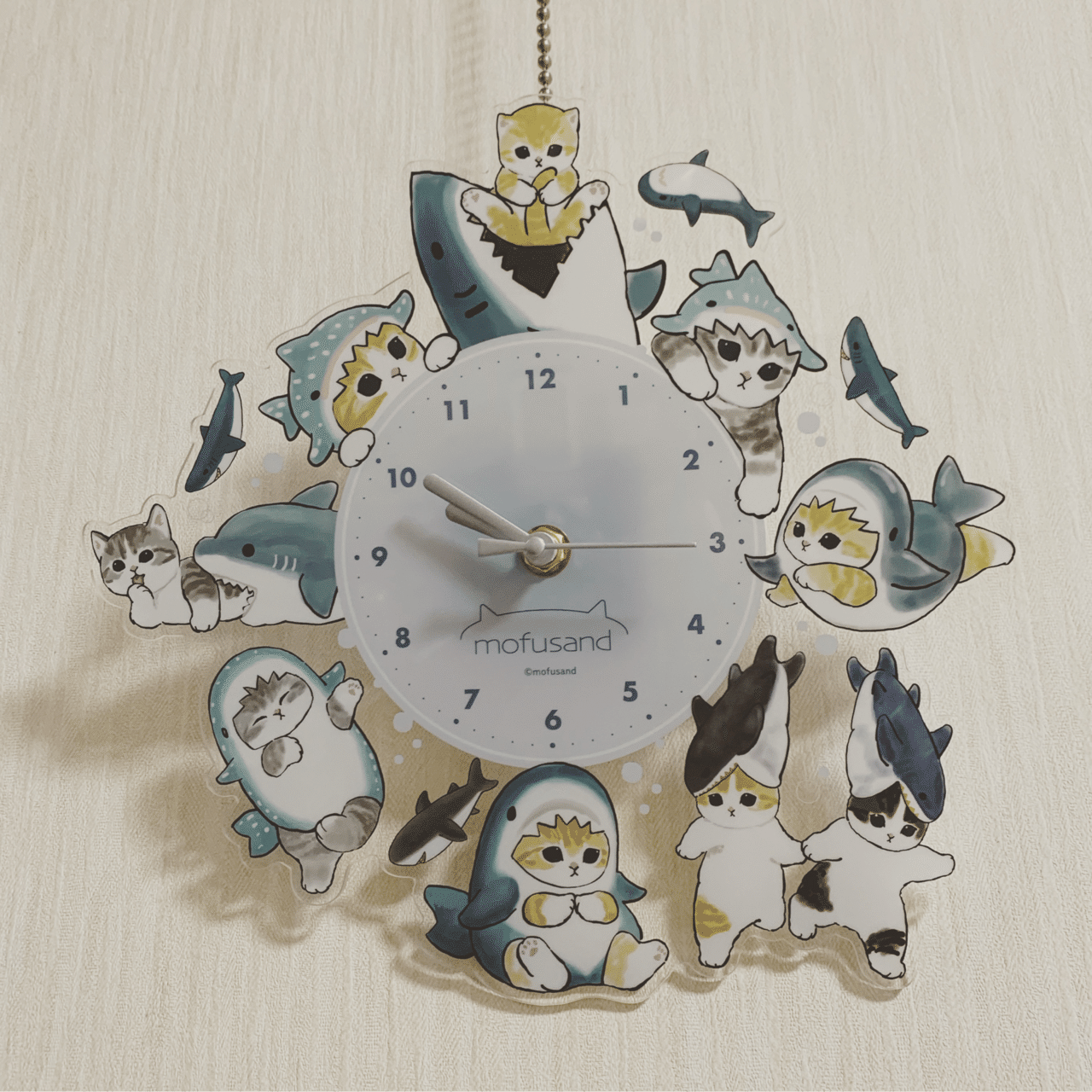 ハワイのお土産 サメグッズ｜シャークジャーナリスト沼口麻子