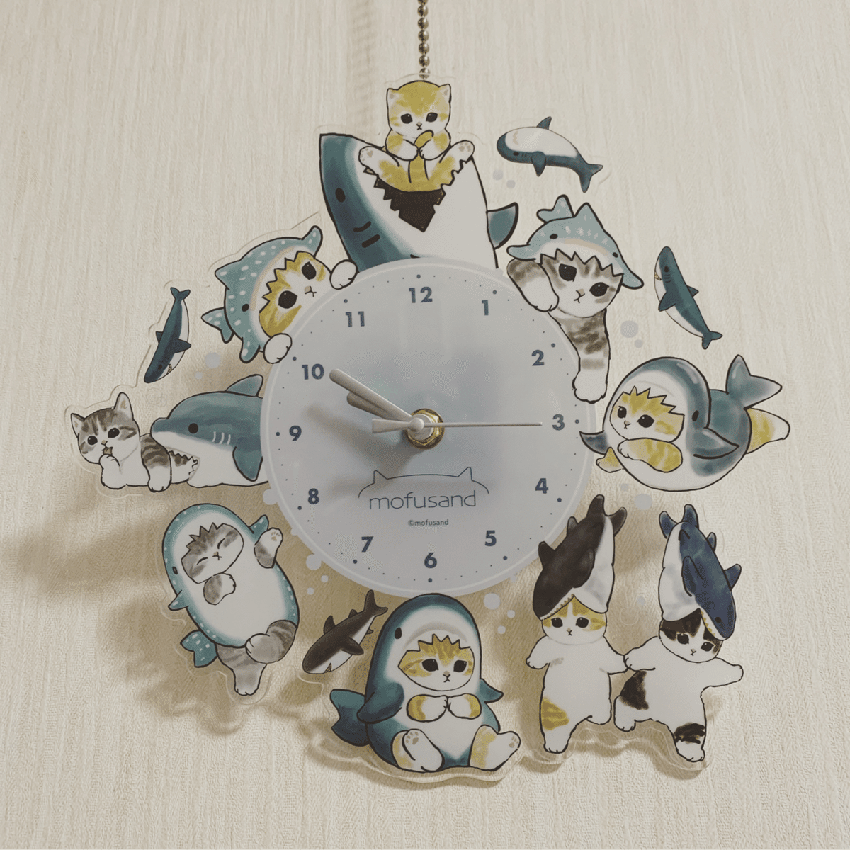 ハワイのお土産 サメグッズ｜シャークジャーナリスト沼口麻子