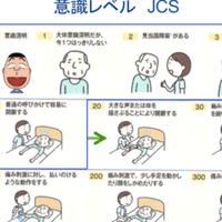 Fim記憶 Plastics Nurseing Note Fim記憶 Plastics Nurseing Note