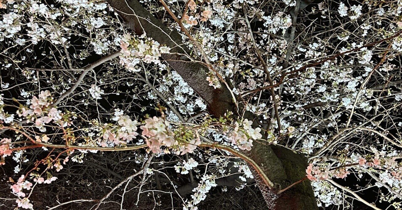 shemale百合子 2014年に38年間の歴史を終えた「春だ。桜だ。金☆だ。」で始まる「ラキラキ」六本木GAY術・劇場~Mとの出会い｜tigergem210