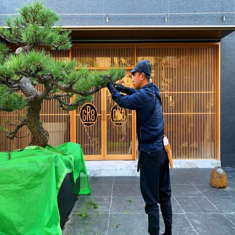 植木屋 脚立 15尺 剪定