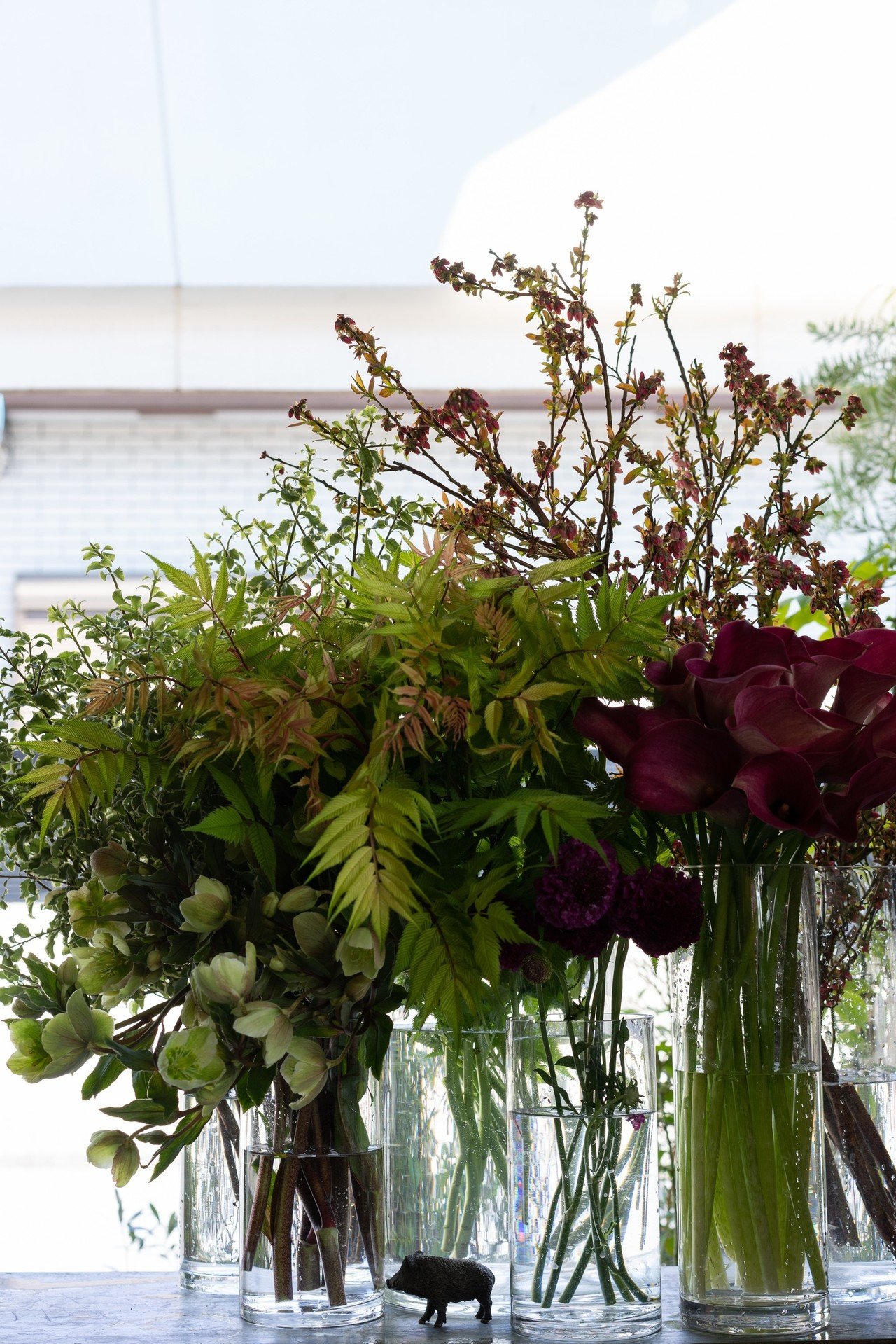 蕾と新芽と Takaya Yamamura Note