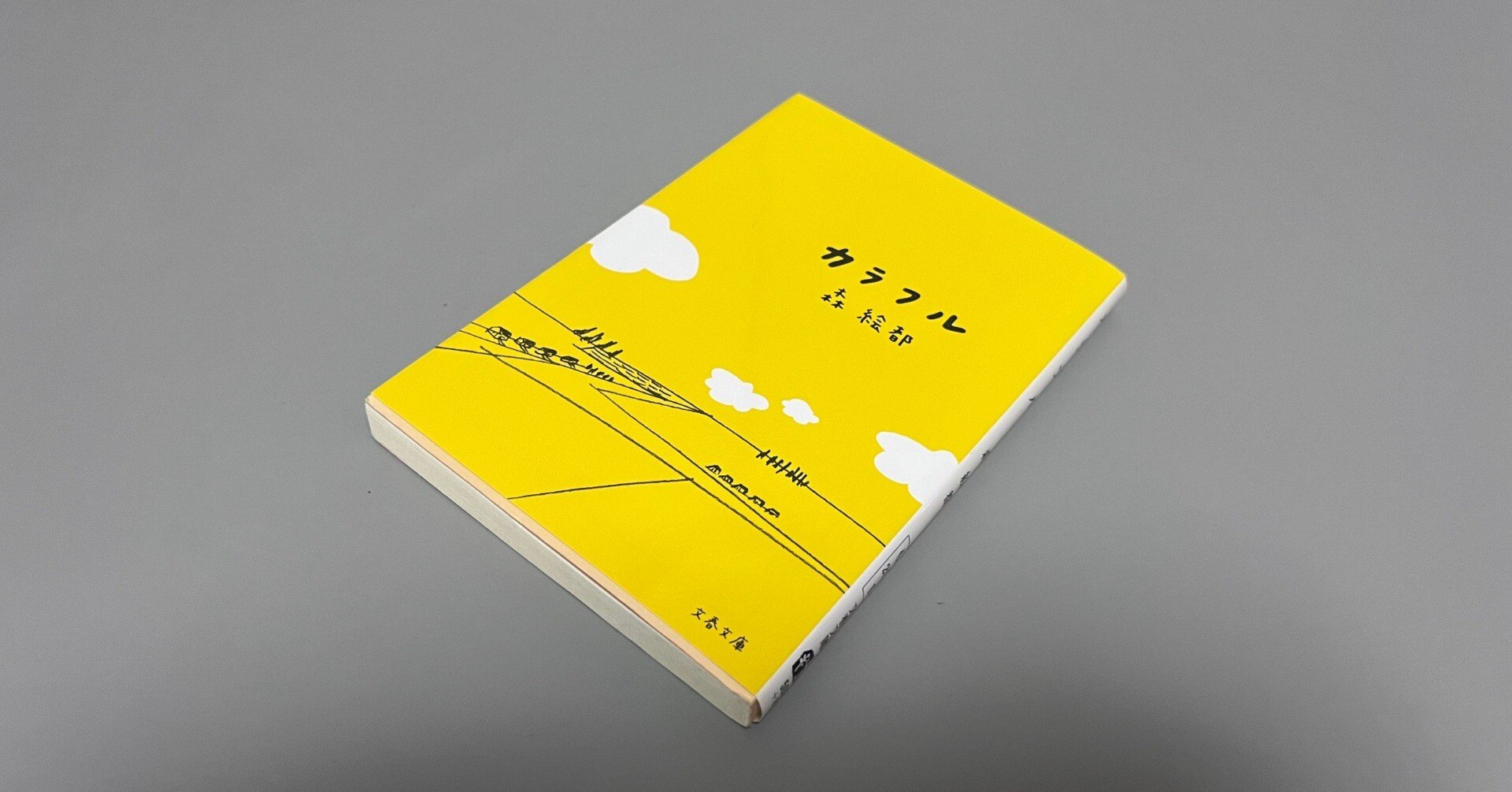 読書感想／『カラフル』森絵都｜シロイヒ